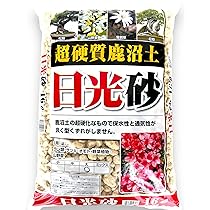 土肥金山　砂金　36粒 24K 純金　大粒有 Aftermath] 