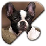 Jigsaw Puzzles Free Game - Chapter 7