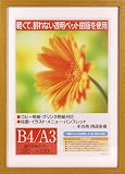 イワタ 額縁 ガーベラ B4/A3 木製 ナチュラル GM-154NT-A3
