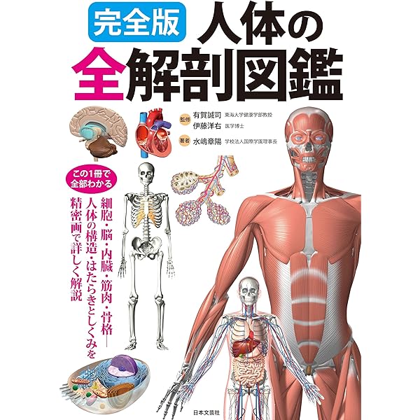 図説人体解剖学 第1巻 図説人体解剖学 第1巻 第5版 | 岡本 道雄 |本 | 通販 | Amazon