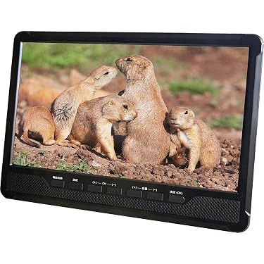 Amazon.co.jp 最新リリース: ポータブルDVD・ブルーレイプレーヤー の