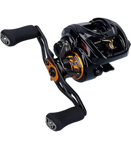 Amazon | ダイワ(Daiwa) ベイトリール シーバス モアザン 14 PE