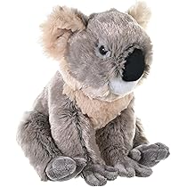 Amazon.co.jp: リアルファー オーストラリア コアラ ぬいぐるみ