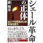 シェール革命の正体 ロシアの天然ガスが日本を救う