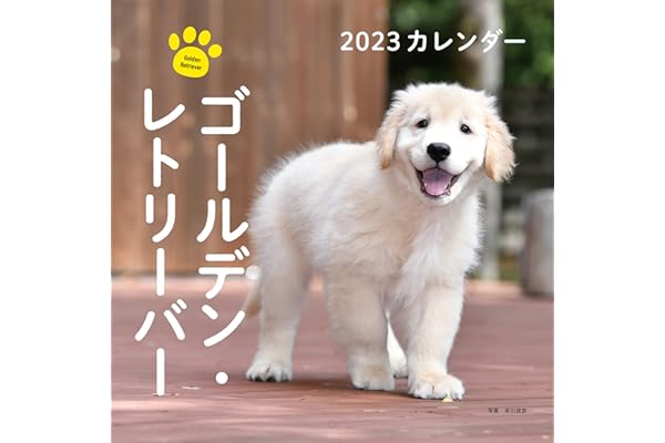 Amazon Co Jp 売れ筋ランキング 犬 の中で最も人気のある商品です Amazon Co Jp 売れ筋ランキング 犬 の中で最も人気のある商品です