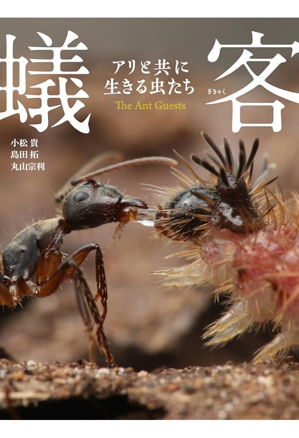 Amazon.co.jp: アリの巣の生きもの図鑑 : 丸山 宗利: 本