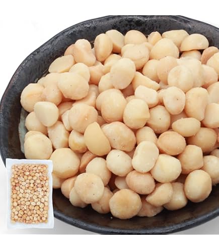 Amazon.co.jp: マカダミアナッツ 大粒(ホール) ロースト 無塩 (300g