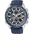 [シチズン]CITIZEN 腕時計 PROMASTER プロマスター 流通限定 ブルーエンジェルスモデル エコ・ドライブ スカイシリーズ AT8020-03L メンズ [並行輸入品]