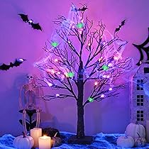 81Nlx2XluKL._AC_UL210_SR210,