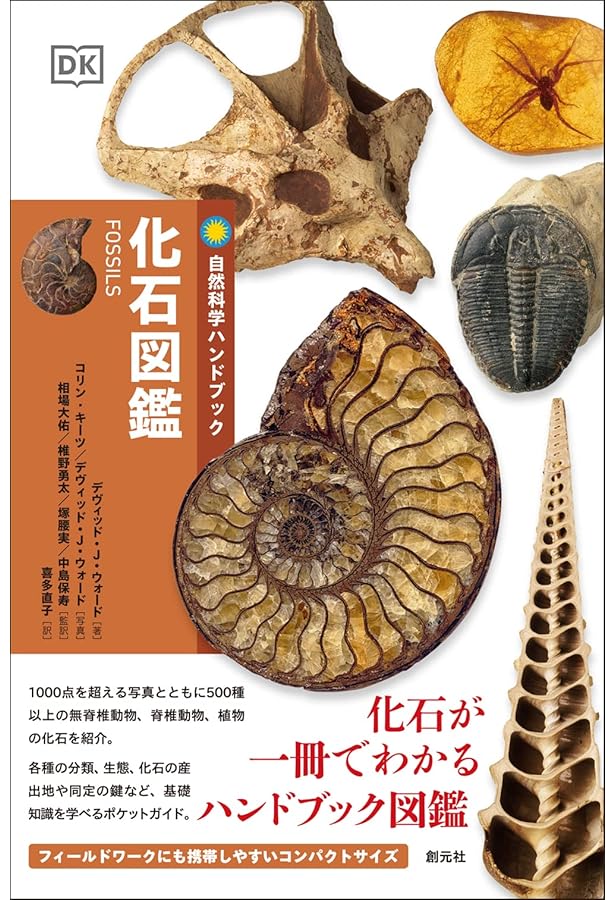 化石 アンモナイト 琥珀 亀 まとめ売り 三葉虫 スピノサウルス 爪 化石 アンモナイト 琥珀 亀 まとめ売り 三葉虫 スピノサウルス 爪