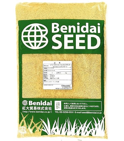 バミューダグラス　デューン　温暖型芝　1Kg Amazon | バミューダグラス デューン 1kg入 | 芝生