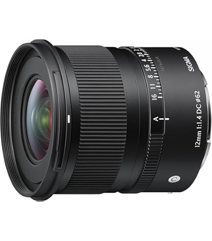 SIGMA シグマ Lマウント レンズ Amazon.co.jp: シグマ(Sigma) SIGMA シグマ Lマウント レンズ