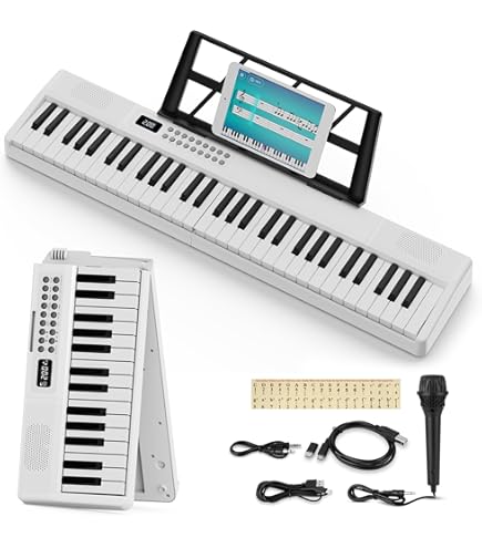 Amazon | カシオ 電子キーボード 61標準鍵 ベーシックタイプ CTK-4200