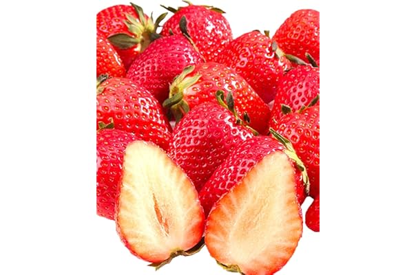 プレゼント ヨシムラ Tmr Mjnピッチ変更 77 85 77 779 002 1000 Fucoa Cl