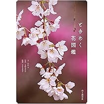 ときめく花図鑑 | 中村 文, 多田多恵子, 水野 克比古 |本 | 通販 | Amazon