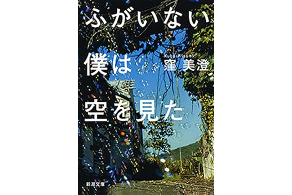 ふがいない僕は空を見た（新潮文庫）