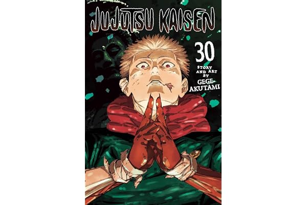 Jujutsu Kaisen Vol. 30