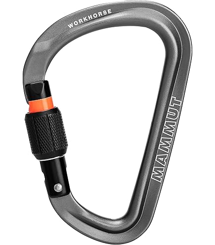Mammut - 専用 マムートクイックドロー 8本セット お買い得！ 専用 マムートクイックドロー 8本セット お買い得！