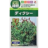 タキイ種苗 クリムソンクローバー ディクシー