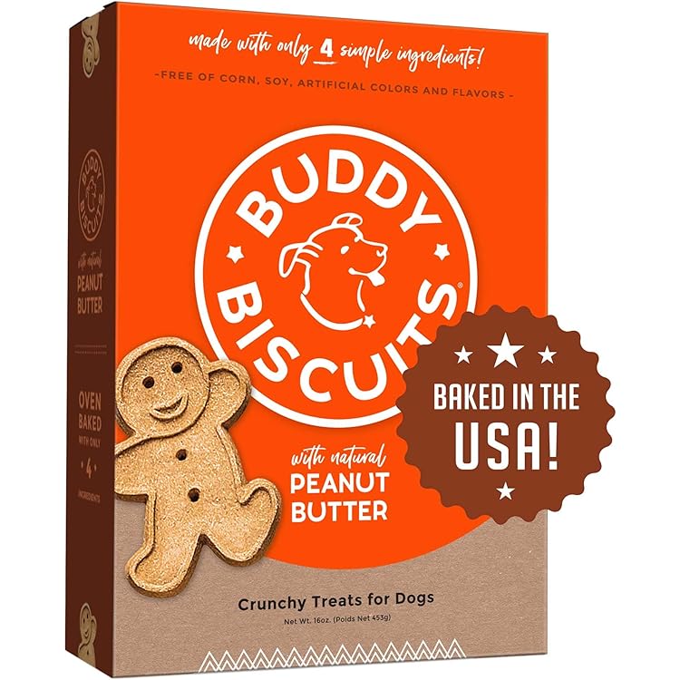 chewy buddy biscuits