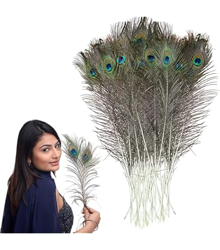 Amazon.co.jp: Piokio 10個 天然孔雀の羽 バルク20-23インチ (50-60cm