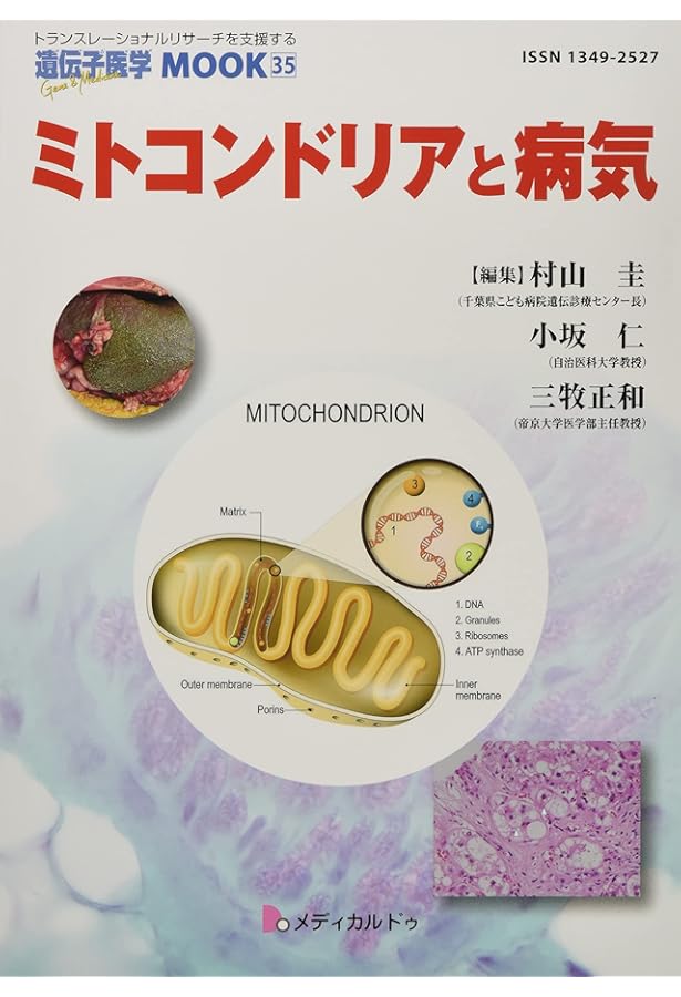 ミトコンドリア病診療マニュアル2023 | 日本ミトコンドリア学会, 村山