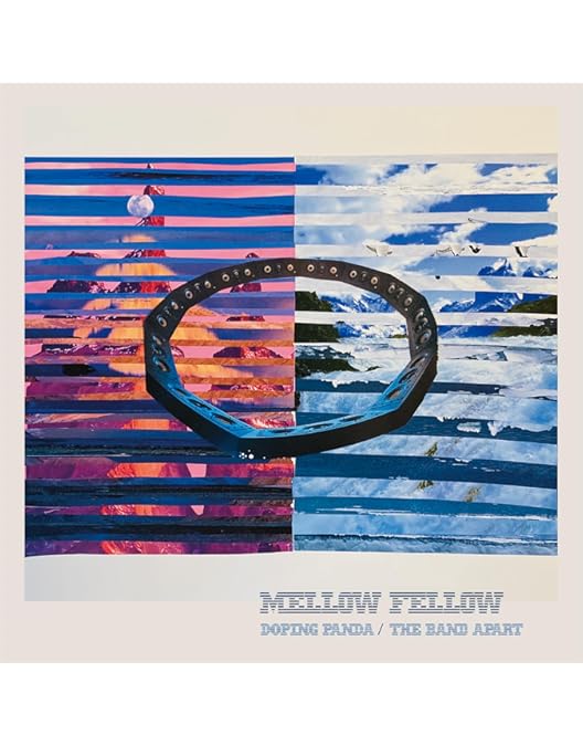 Amazon.co.jp: FUTURE & PAST Vol.1 [DVD] : the band apart: DVD