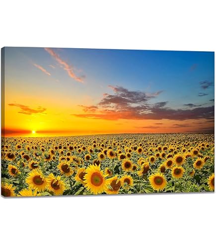Amazon.co.jp: ロバート・ウッド［世界の名画コレクション］『山と川の