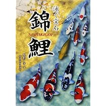 : 錦鯉A~Z : 本