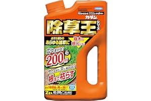 フマキラー カダン 除草王 除草剤 液剤 ストレートタイプ ザッソージエース 2L