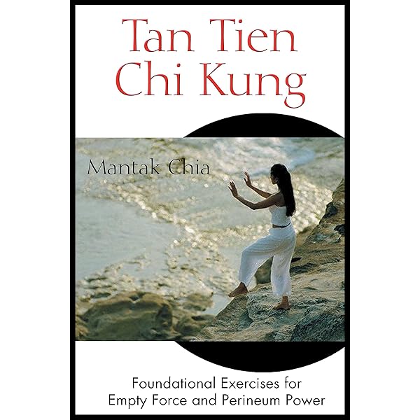 鉄布彩功 Iron Shirt Chi Kung 1 Iron Shirt Chi Kung I: 9780935621136: Books - Amazon.ca