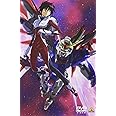 機動戦士ガンダムSEED DESTINY スペシャルエディション 砕かれた世界 [DVD]