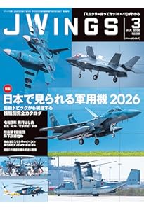 A-10サンダーボルトII 新版 (世界の名機シリーズ) | 富永 浩史, 石川