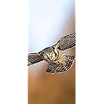 フクロウ iPhone 15,14,13,12,11,X 壁紙(1125x2436) Eulen 2019 Broschuerenkalender フクロウ iPhone 15,14,13,12,11,X 壁紙(1125x2436) Eulen 2019 Broschuerenkalender