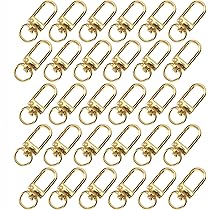 Carabiner Keyring 10 Pcs Swivel Lobster Clasp Clips Snap Hooks Keychain Bag DIY Craft Key-in Jewelry Findings Keyring Making Kit - Foto 10