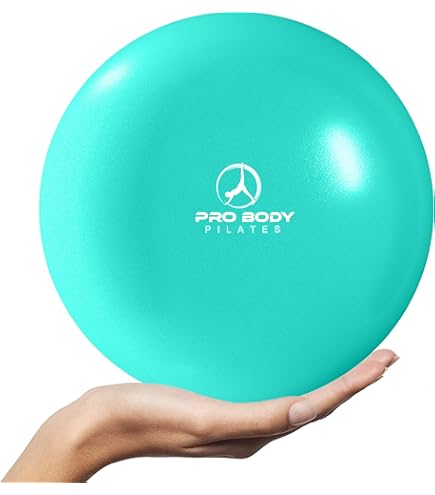 ♡J31002 未使用保管品 Toning Pilates Ringなど まとめ ♡J31002 未使用保管品 Toning Pilates Ringなど まとめ
