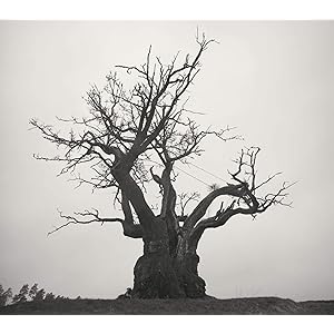 SEKAI NO OWARI 2010-2019[通常盤]