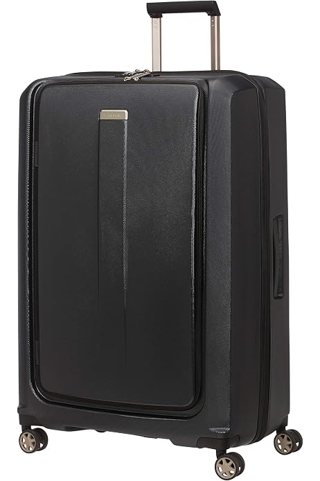 DLX Spinner Expandable Suitcase 