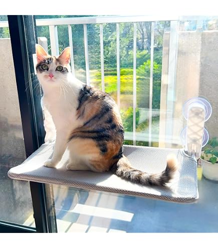 Amazon.co.jp: キャティーマン (CattyMan) 木製 猫専用見晴らし台