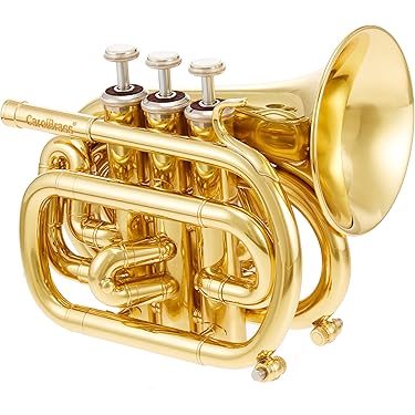 Amazon.co.jp 売れ筋ランキング: ポケットトランペット の中で最も人気