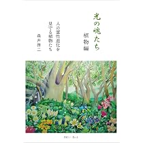 光の魂たち 山岳編 序章 人の御魂を磨く聖なる山々 | 森井啓二 |本