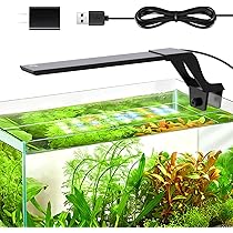 81Oaxszvd3L._AC_UL210_SR210,