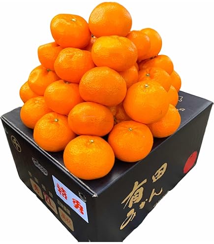 極上品質 愛媛産 味ピカ一【小太郎 越冬 みかん】30個入り 専用化粧箱 極上品質 愛媛産 味ピカ一【小太郎 越冬 みかん】30個入り 専用化粧箱