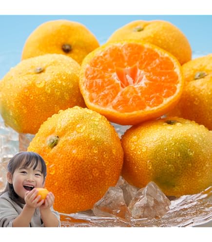 Amazon.co.jp: 希望の島 はるみ 訳あり品 サイズ込 愛媛 中島産 みかん