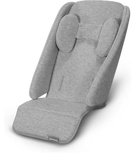 Amazon.co.jp: UPPAbaby Vista Piggyback Ride-Along Board by