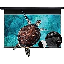 81OpXpOhiKL._AC_UL210_SR210,