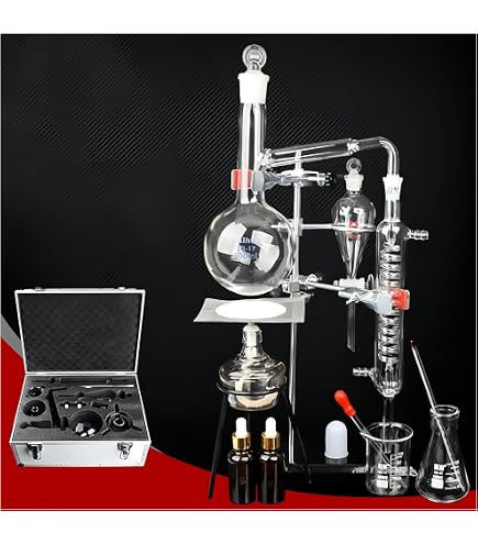 Amazon.co.jp: Deschem 5L ガラス 三角フラスコ 5000mL : 産業・研究