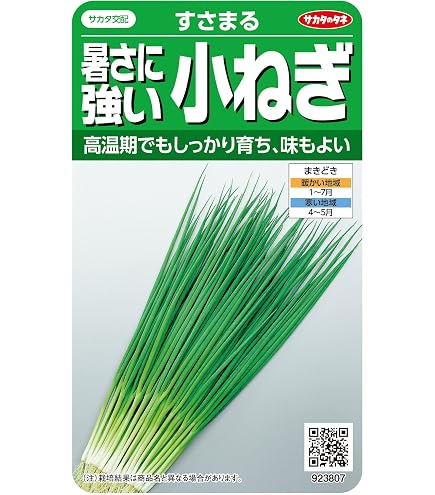 Amazon.co.jp: 104b 多肉植物 ハオルチア 大葉天狼星錦 自家繁殖 抜き