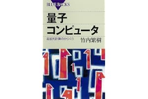 量子コンピュータ　超並列計算のからくり (ブルーバックス)
