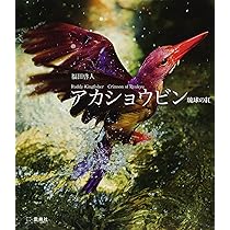 岸本ウラチ　アカショウビン 81OvgJg9nrL._AC_UL210_SR210,
